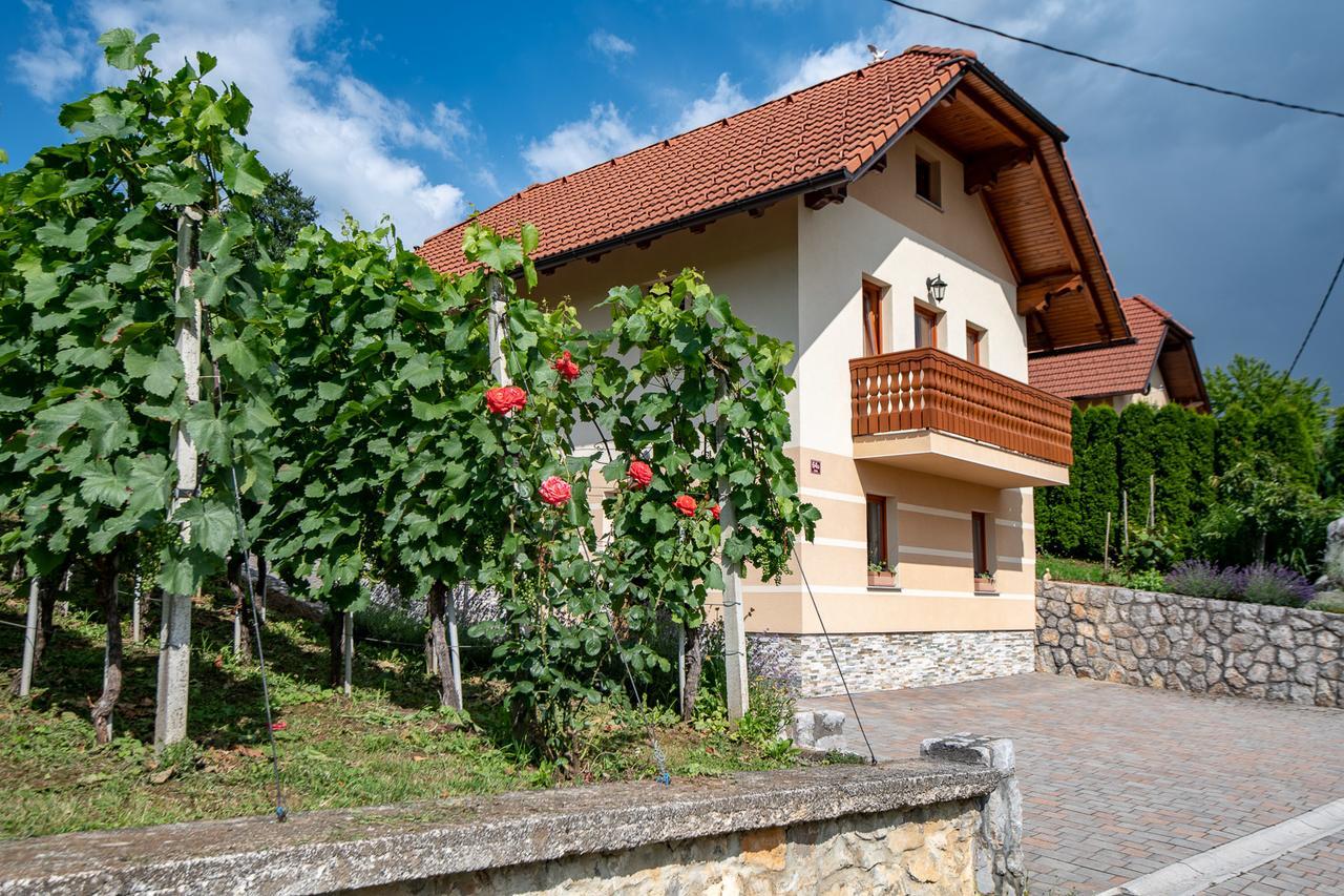 Vineyard Cottage Pod Piramido Dobrnic Bagian luar foto