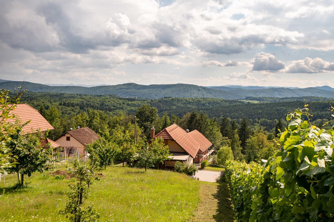 Vineyard Cottage Pod Piramido Dobrnic Bagian luar foto