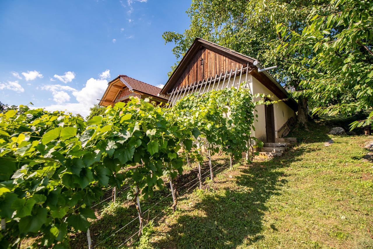 Vineyard Cottage Pod Piramido Dobrnic Bagian luar foto